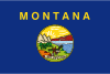 Montana Markierungsfahne