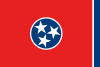 Tennessee Markierungsfahne